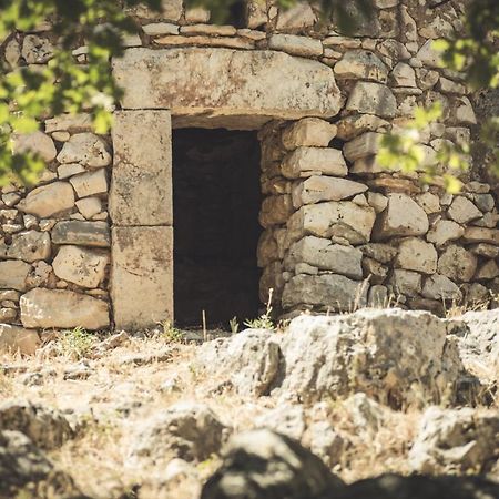 Masseria Storica Pilapalucci Toritto Exteriér fotografie